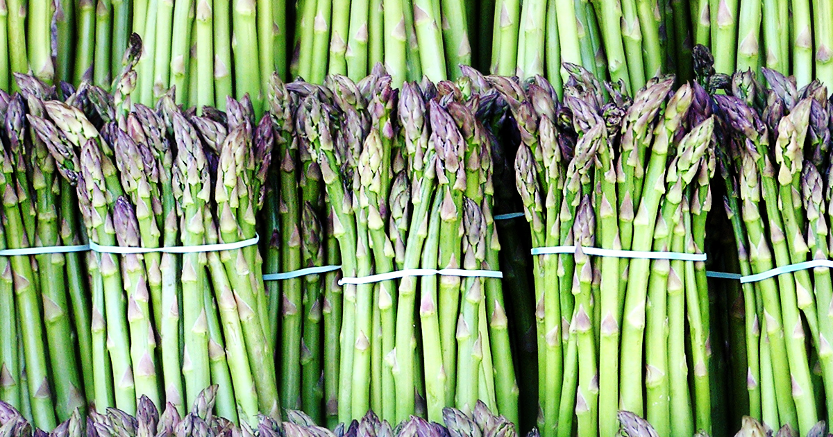 San Joaquin Asparagus Festival Visit Stockton